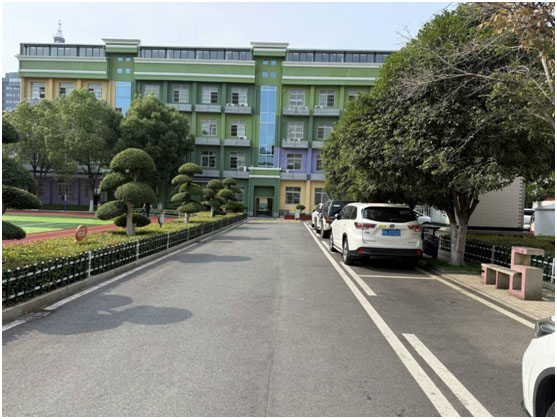 ������������Сѧ������չ���������˶�