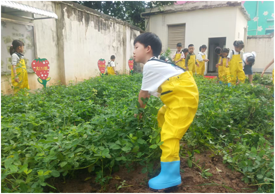 ���زݵ��������׶�԰��չ�����»�����ʵ���