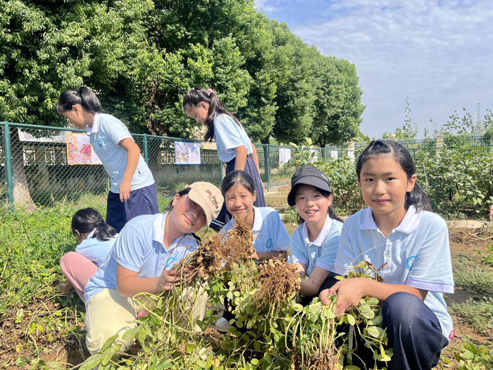 ���ӵڶ�Сѧ��չ�ڻ����Ͷ�ʵ���