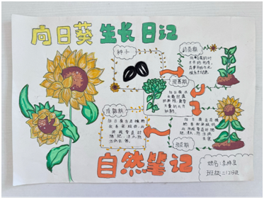 ������Сѧ��ͯ������  ����㾫��