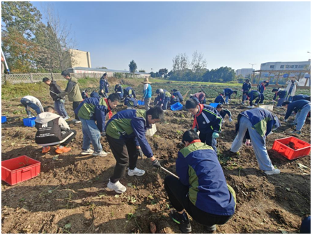 ���������ѧУ��չ�����Ͷ�ʵ����