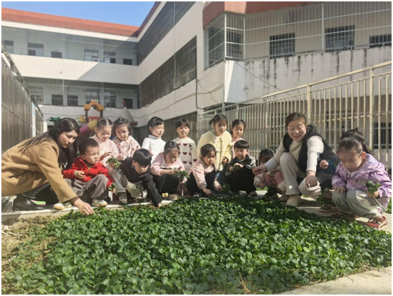 ŻӪ̻ķѧУ׶԰չֲ԰۲ʵ