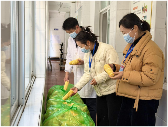 ŻӪ̻Сѧչۺϰȫ У԰ȫ