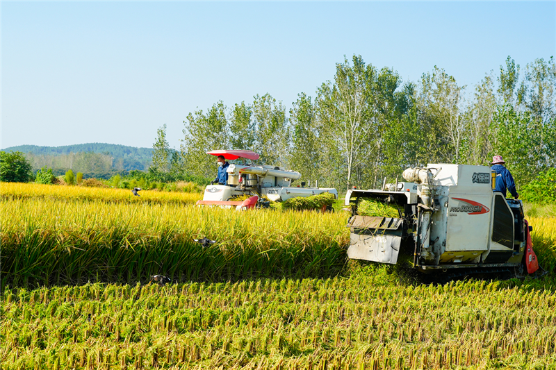 �����򣺴������غ���ģʽ��������������¶���