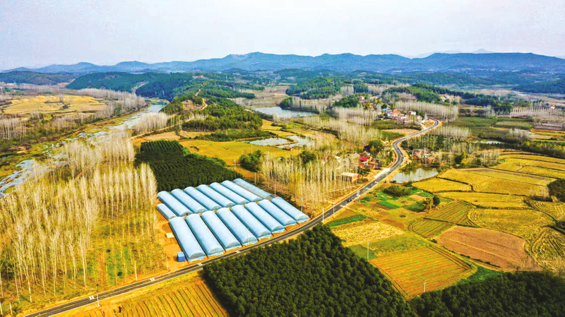 ���ݡ�ʮ���塱��������������չϵ�б���֮��ͨƪ