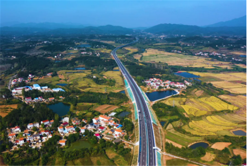 ���Ÿ���ͨ���ˣ�