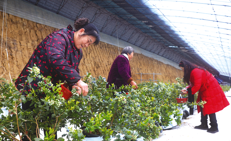 ����ý�幫���С������ֵ���ˮ���壺��ݮ�����ʡ����� ������ˡ��𡱶���