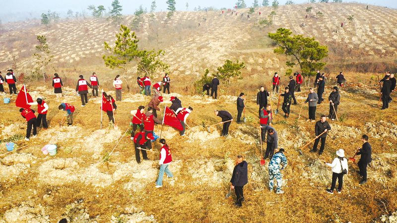 �������쵼�μ�����ֲ���