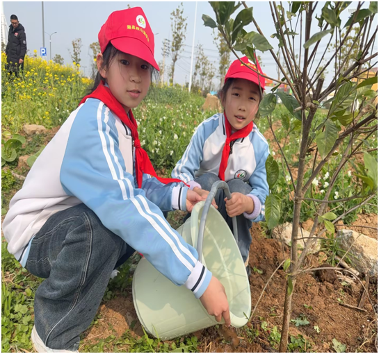 ������ɽ��ѧУ��չֲ�����������ʵ���