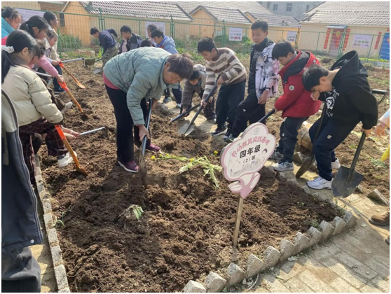 �򸣵�ũ������Сѧ����УЯ�ָ����� �Ͷ�ʵ���ٳɳ�