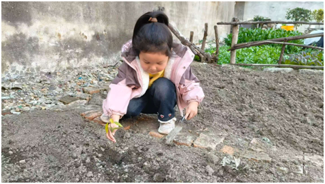 ������ڶ��׶�԰��չֲ��������