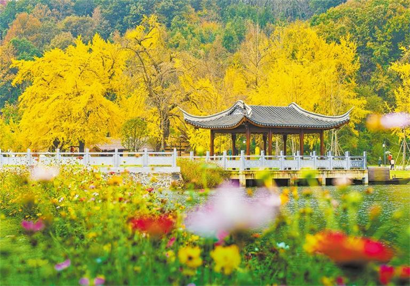 �������ձ������ݻ���