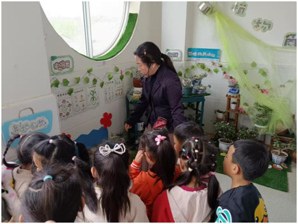 ������������׶�԰�����½�����Ȼ̽�����ʵ