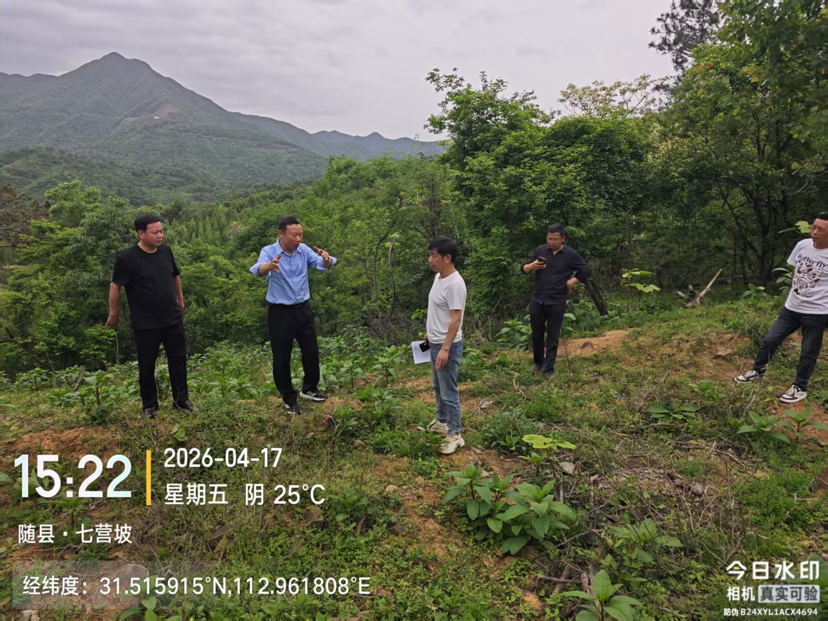 �����ƽ�ɭ�ֻ���Ӧ��������Ŀ����