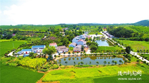 建设美丽乡村