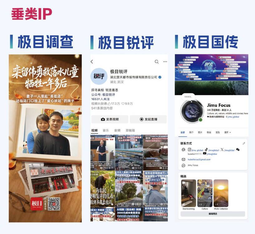 垂类IP.jpg