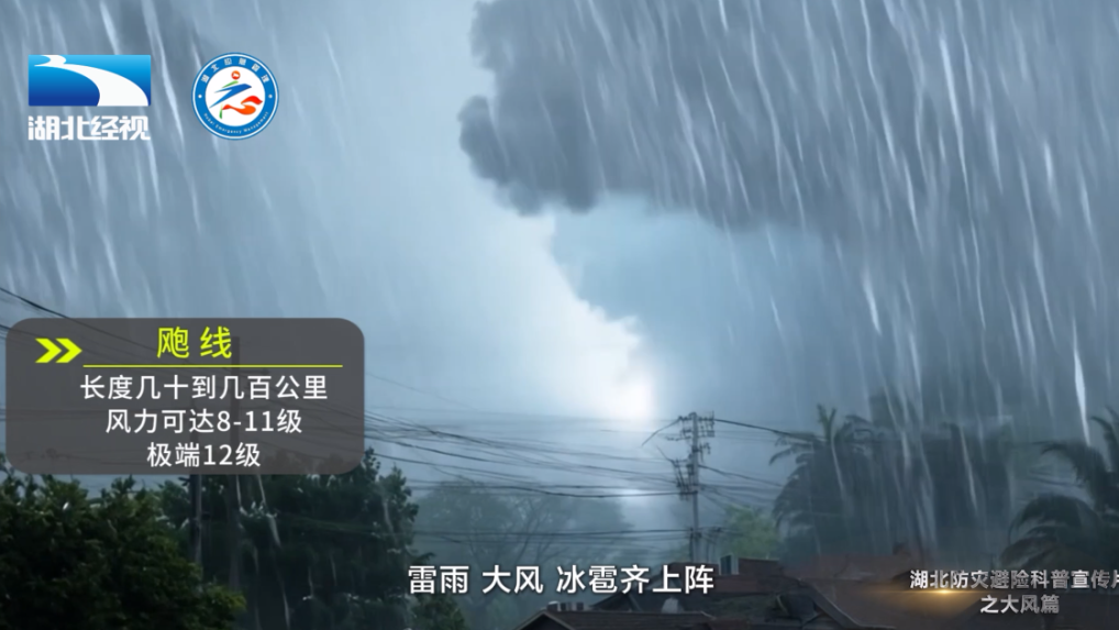 “白海豚”来袭！收到这类预警短信别忽视，几步教你看懂大风避险提示