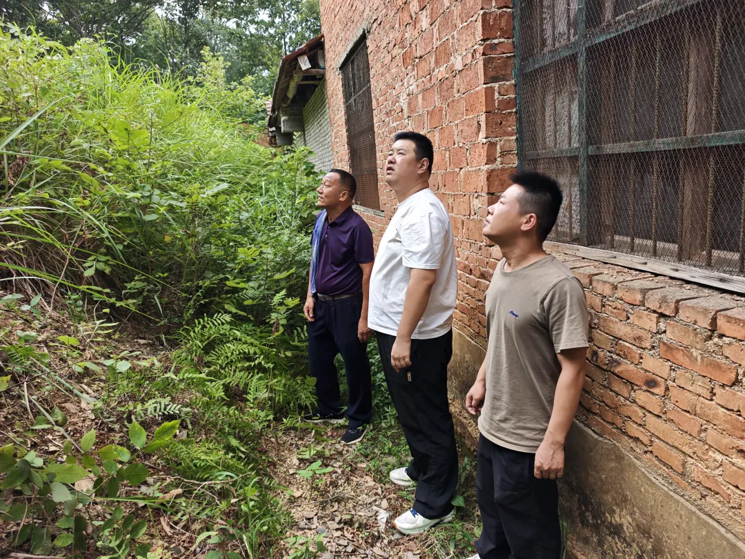 柳林镇：全力迎战台风“白海豚”