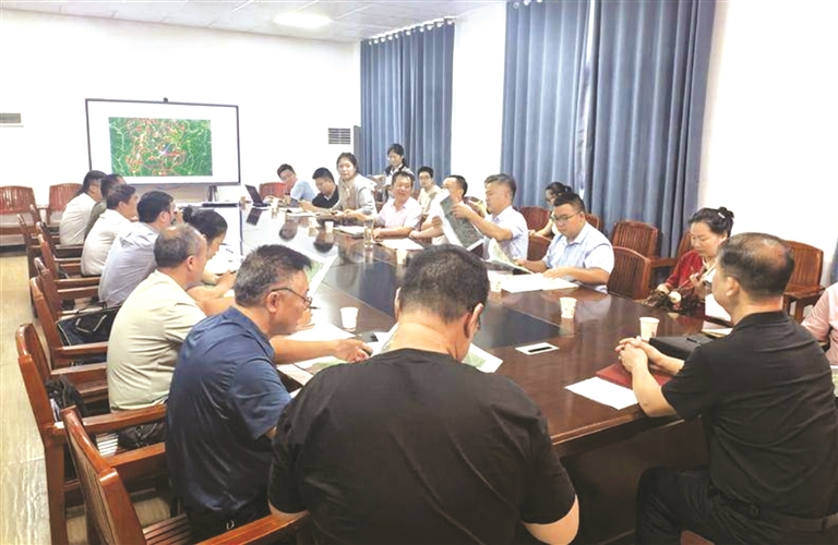 随县自然资源和规划局赴柳林镇召开村庄规划征求意见会