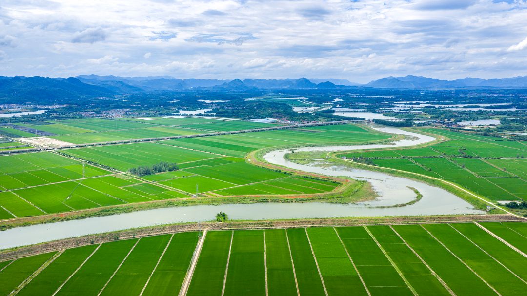 古村焕新、千岛浮翠、花海生金！看黄石如何把乡村“好风景”变成“好钱景”