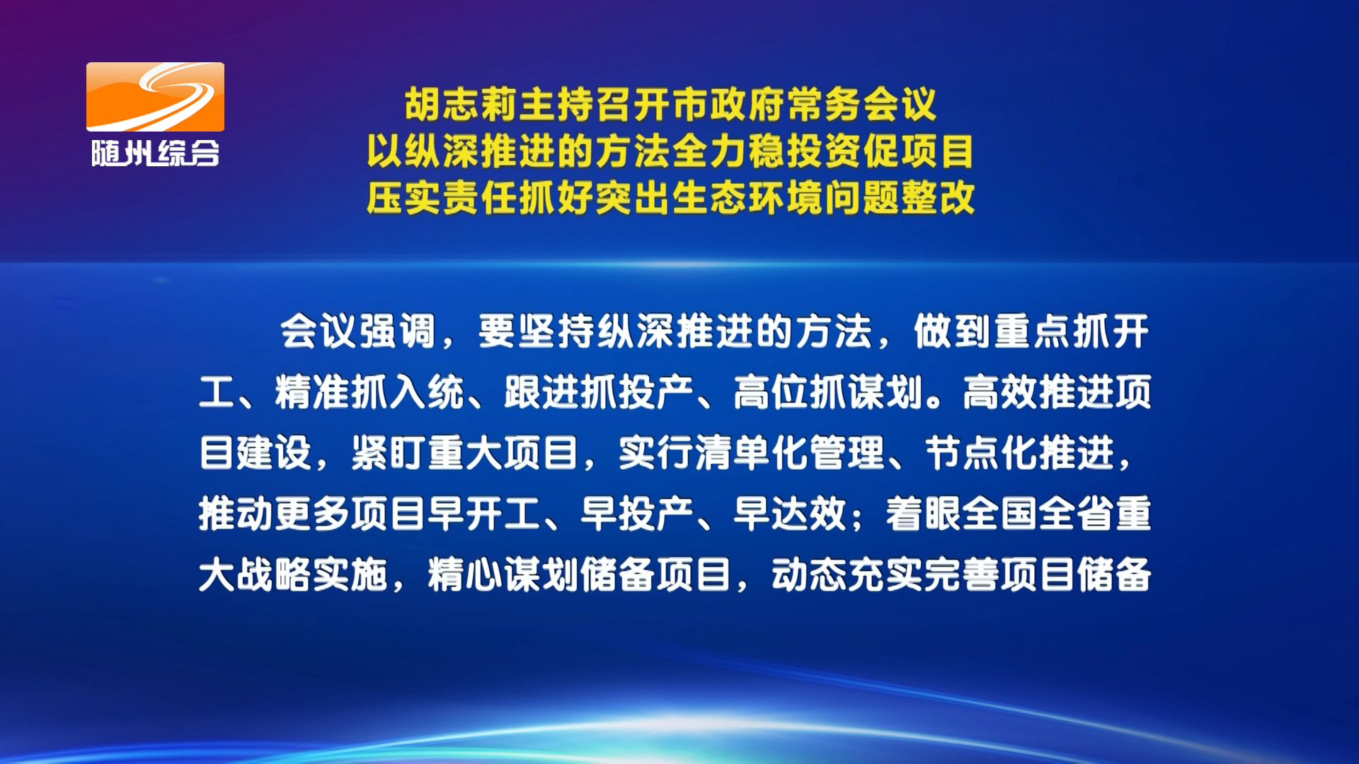 胡志莉主持召开市政府常务会议  以纵深推进的方法全力稳投资促项目  压实责任抓好突出生态环境问题整改