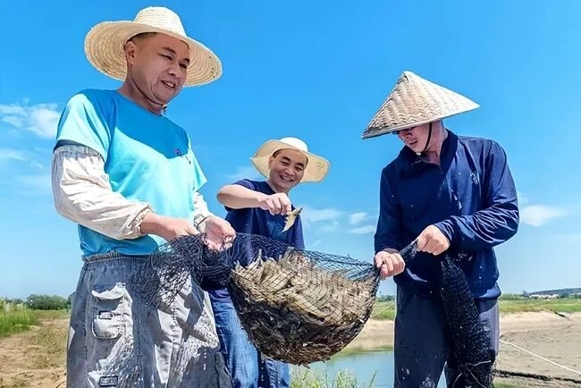 鄂北小城的“海陆空”致富经\