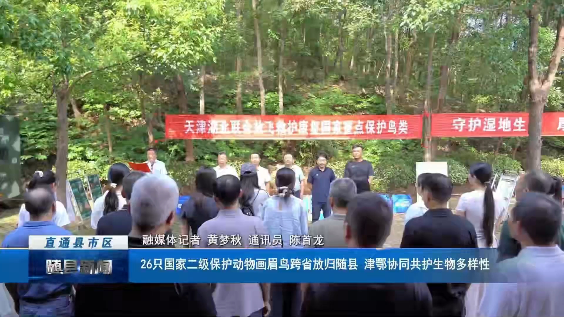 26只国家二级保护动物画眉鸟跨省放归随县 津鄂协同共护生物多样性