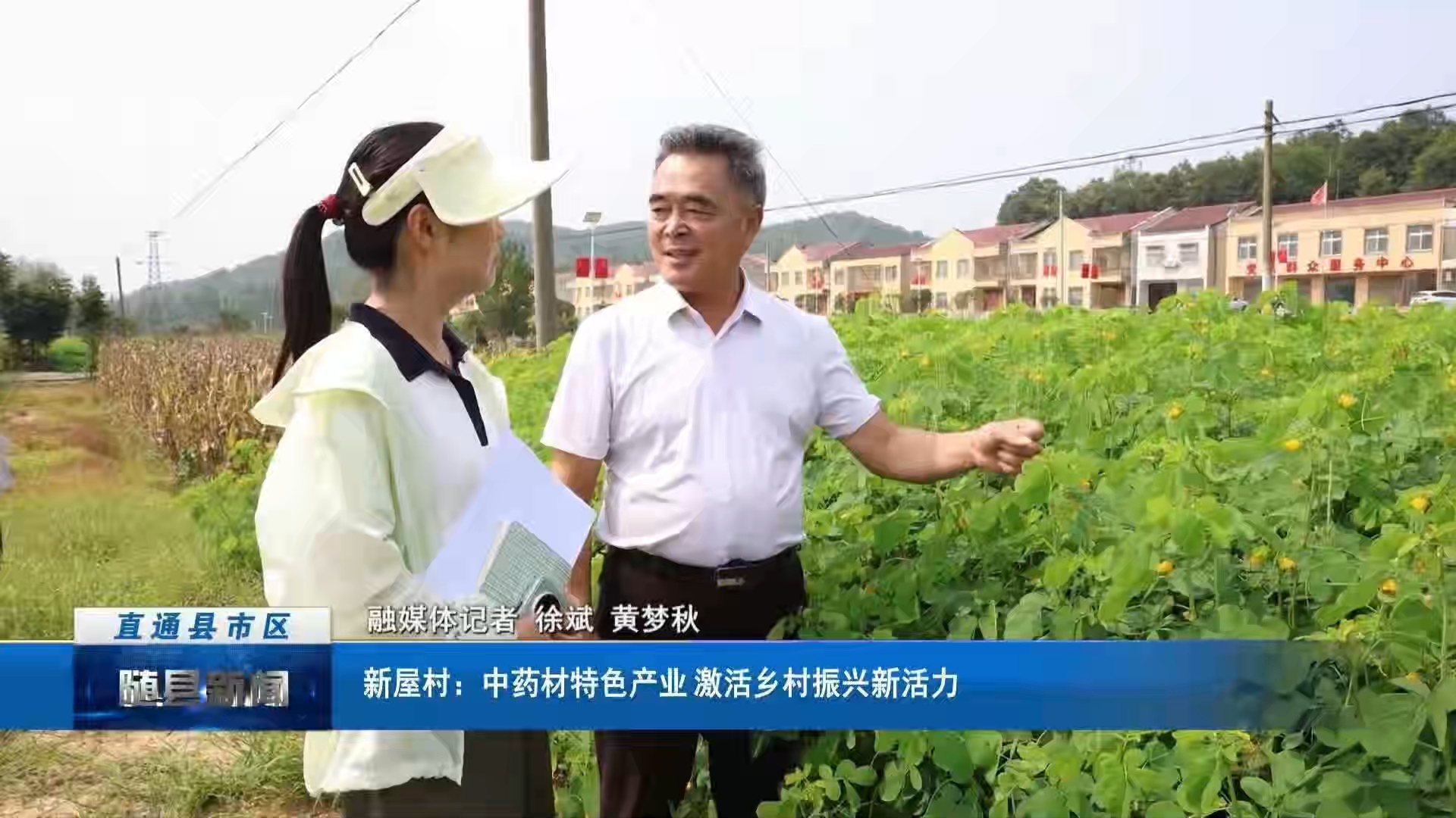 新屋村：中药材特色产业 激活乡村振兴新活力