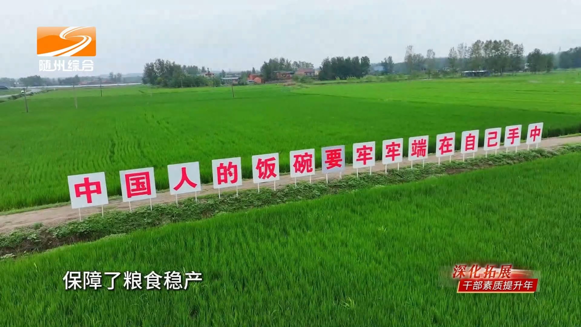 《深化拓展干部素质提升》党建提质强队伍 深耕供销惠民生——访随县供销社书记、主任 苏忠