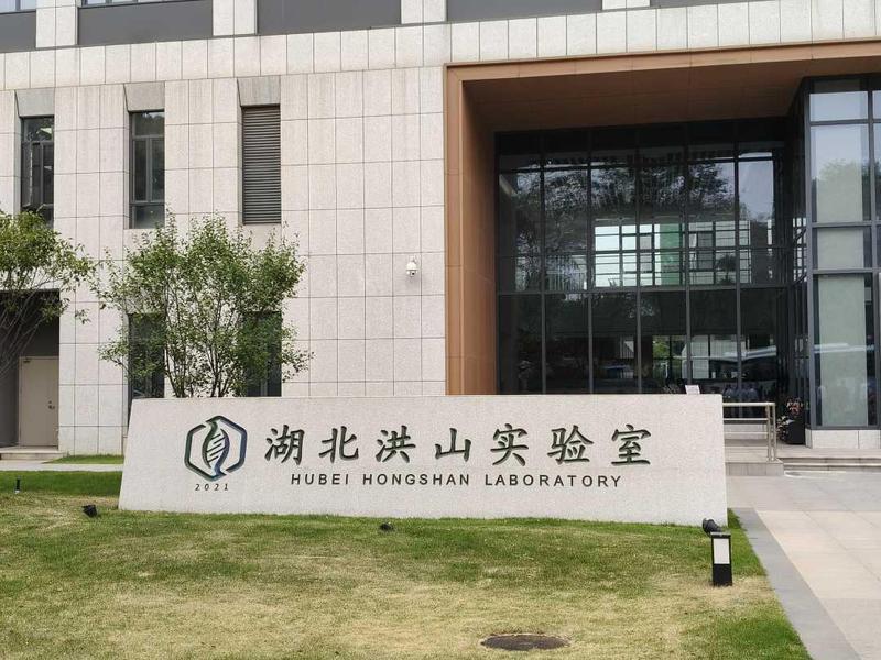 “能量源”+“蛋白罐”一物两用！这里让玉米高产高蛋白丨活力中国调研行