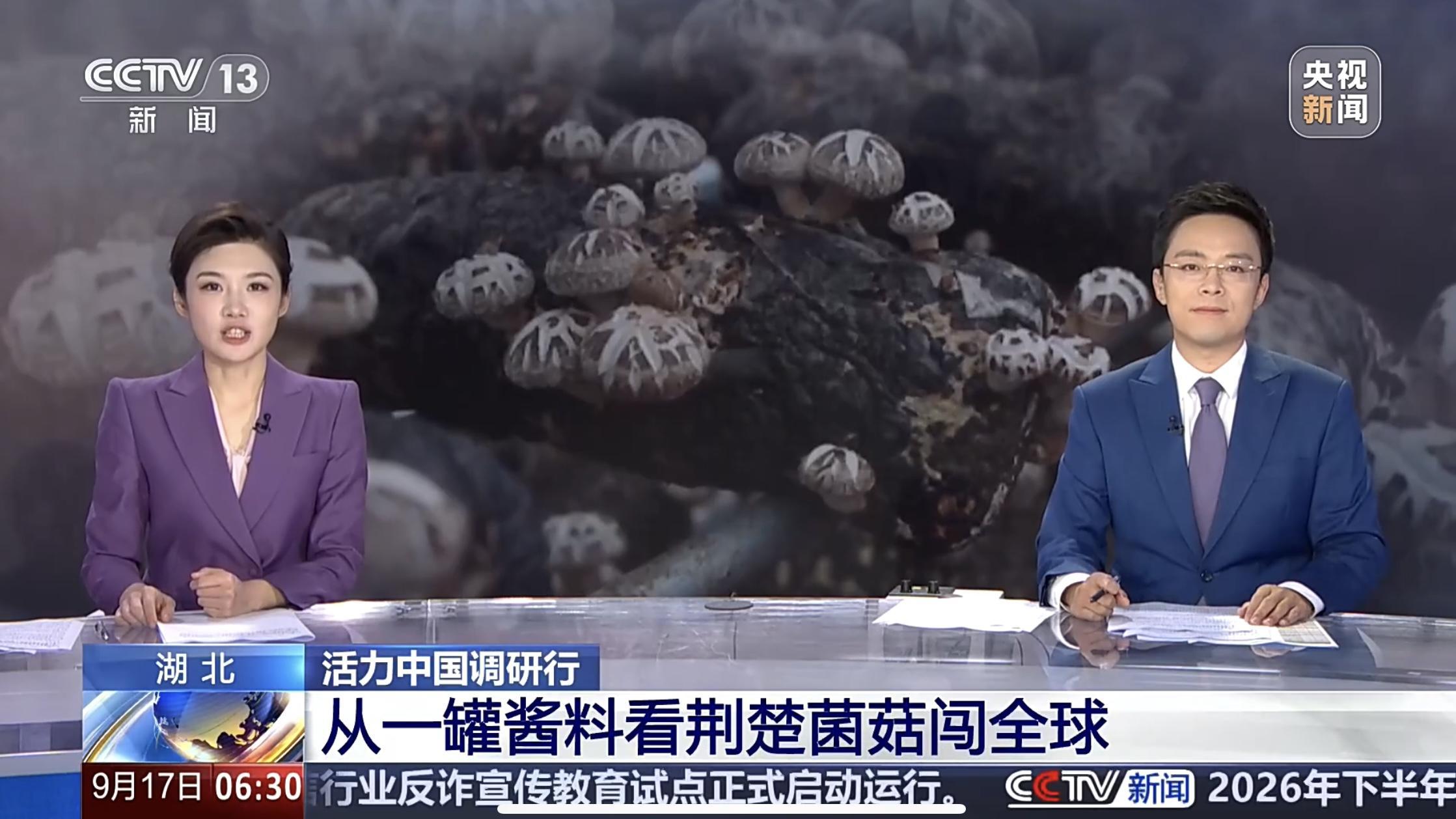 【长江云新闻】央视聚焦随州 “一朵菇”的产业突围密码