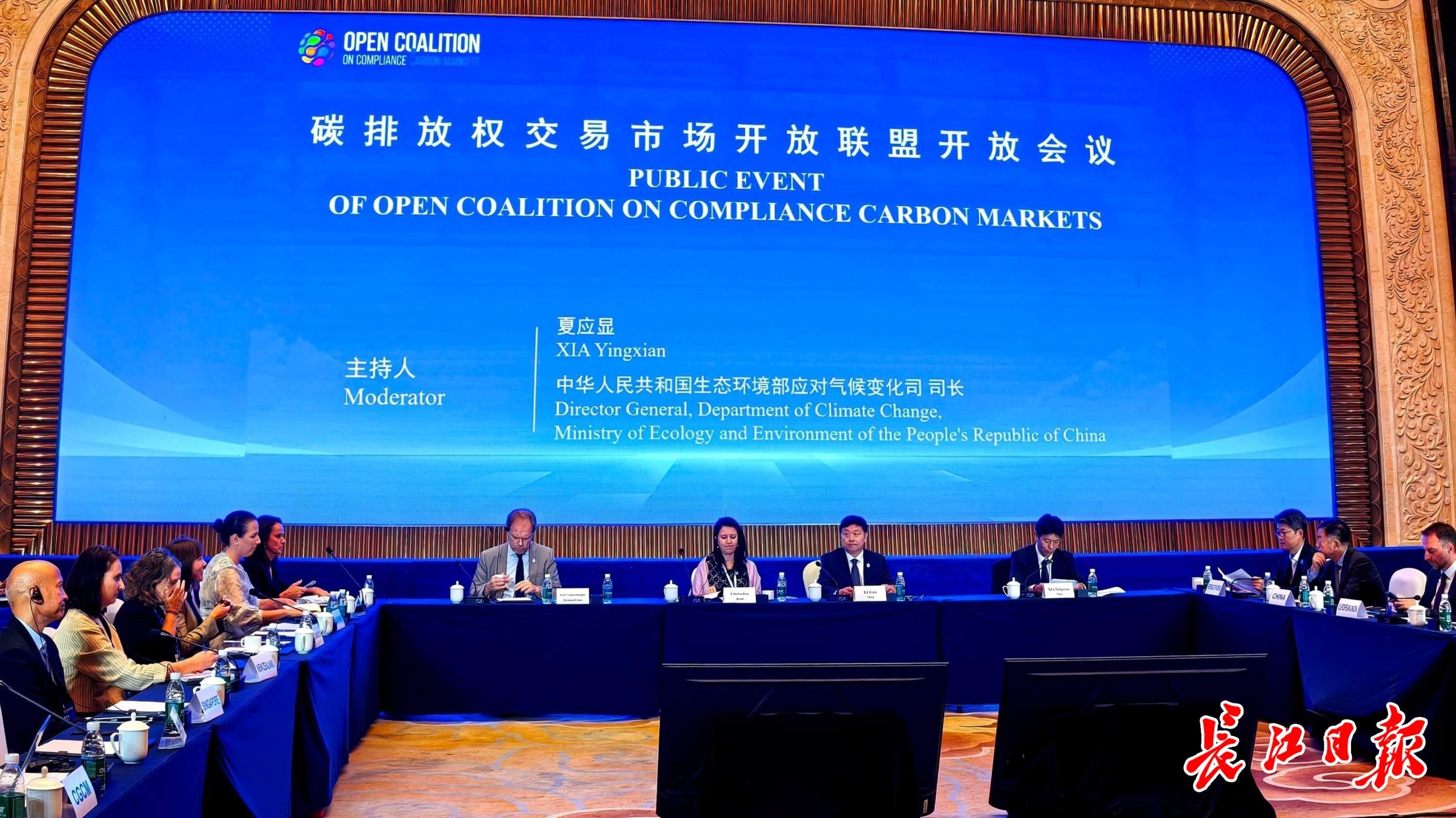 全球碳市场的尺子上终于有了中国刻度