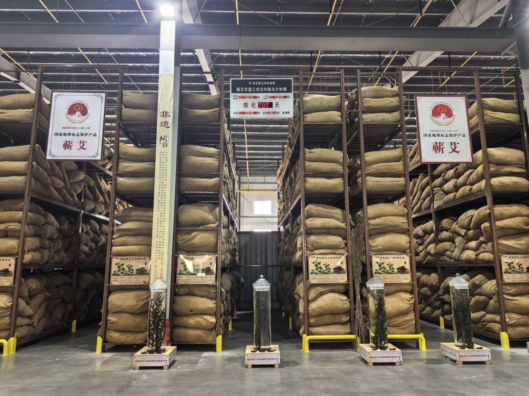 蕲艾生金丨活力中国调研行