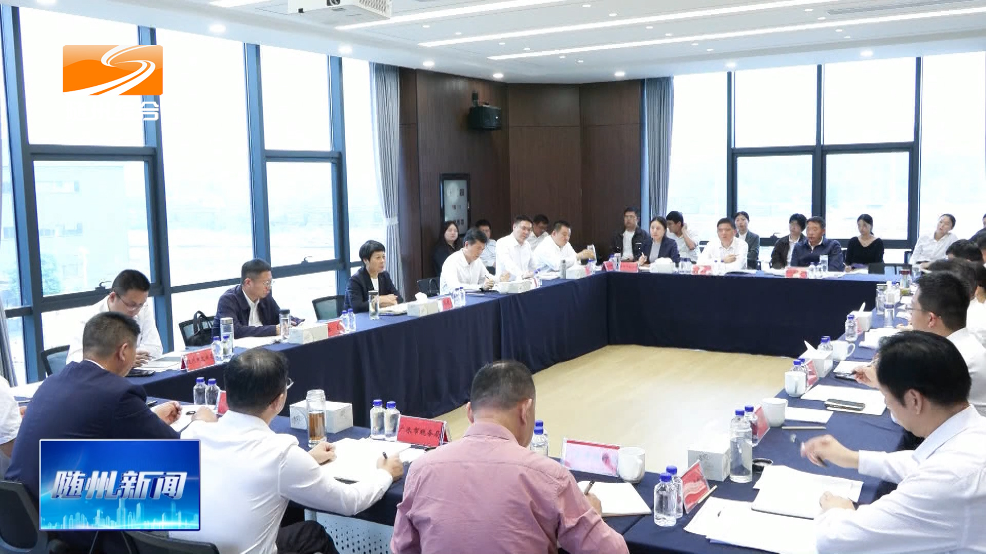 胡志莉出席全市百亿企业培育工作现场办公会时强调 厚植产业发展根基 精准赋能企业提质