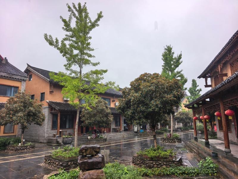 活力中国调研行丨乡村振兴看堰河 生态铺就共富路