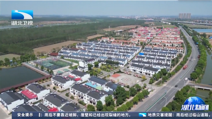 一线调研 | 四邑村：敲门问冷暖 老人不孤单