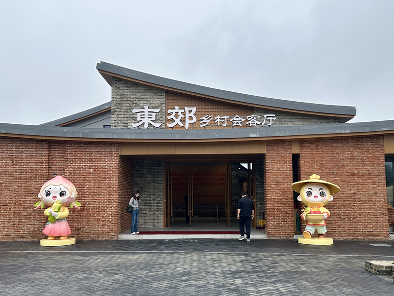 活力中国调研行｜枣阳东郊村：黄桃铺就“甜蜜”振兴路