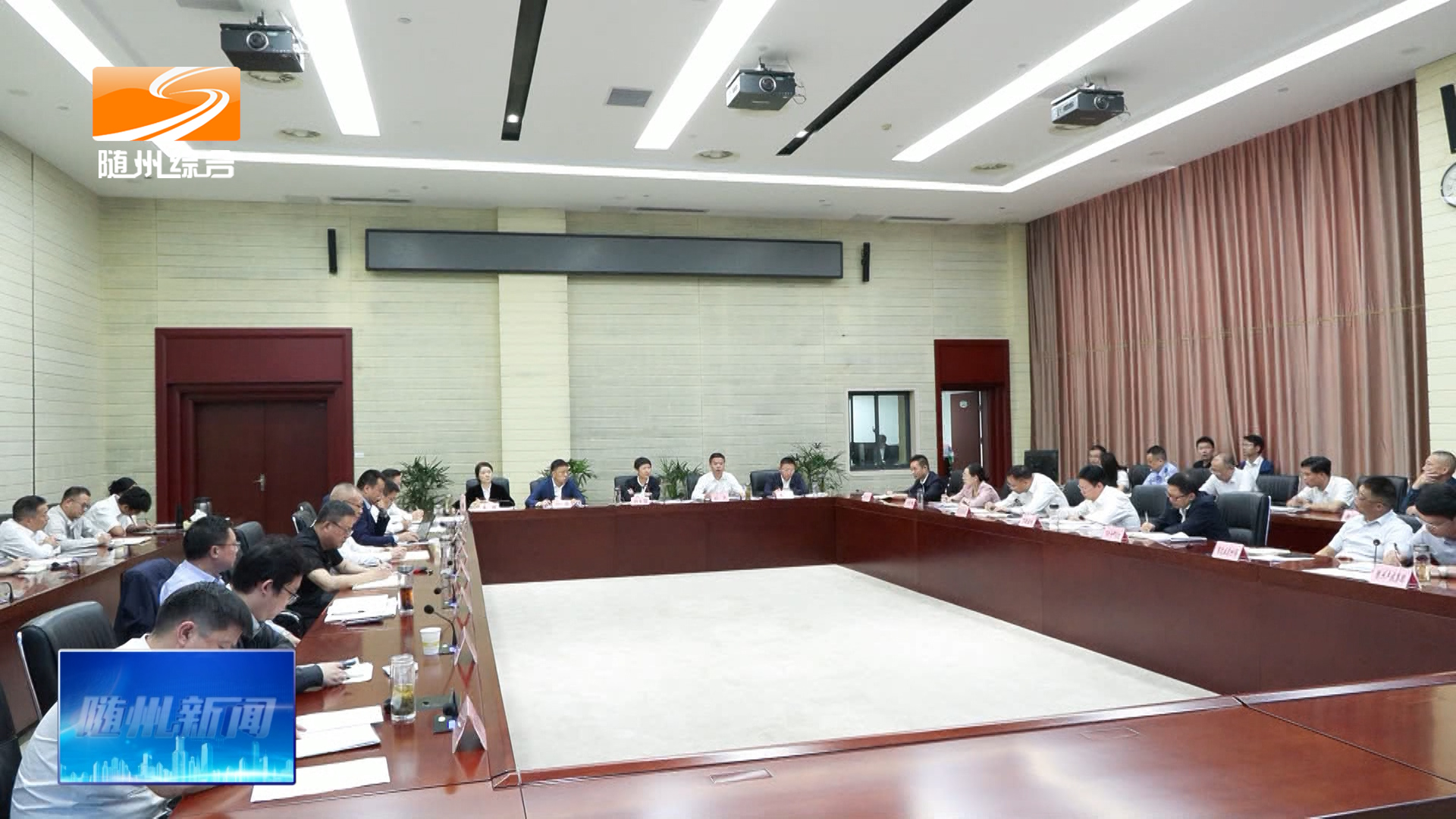 胡志莉出席数智随州“一张图”建设专题会时强调 坚持以用促建建用贯通 加快推动特色场景落地见效