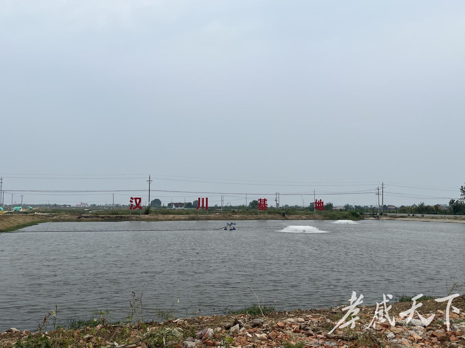 好水生金，300亿从何而来？——汉川“水经济”一线观察