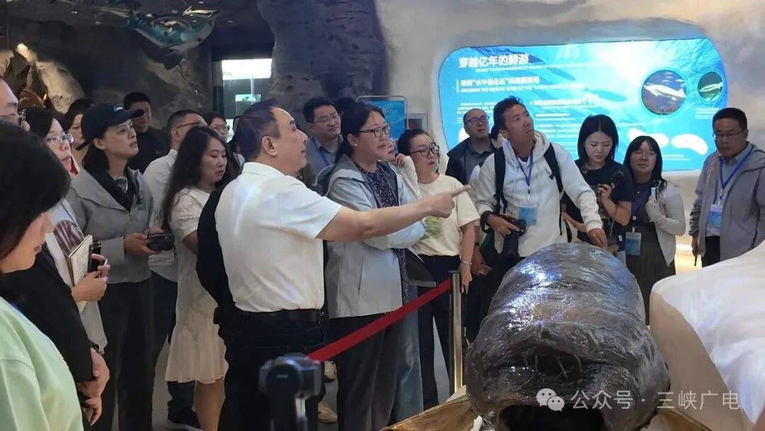 宜昌这里，要打造“世界级中心”！