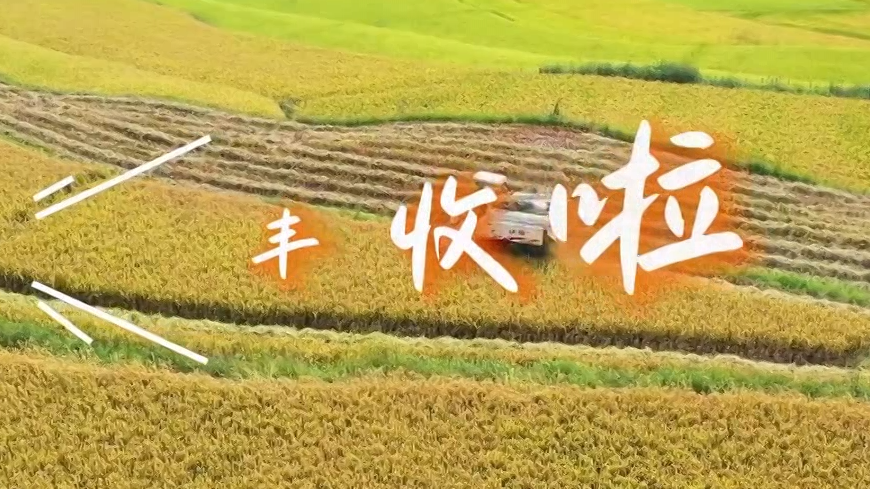 荆楚丰景正好！第九个中国农民丰收节全国主场活动在枣阳开幕