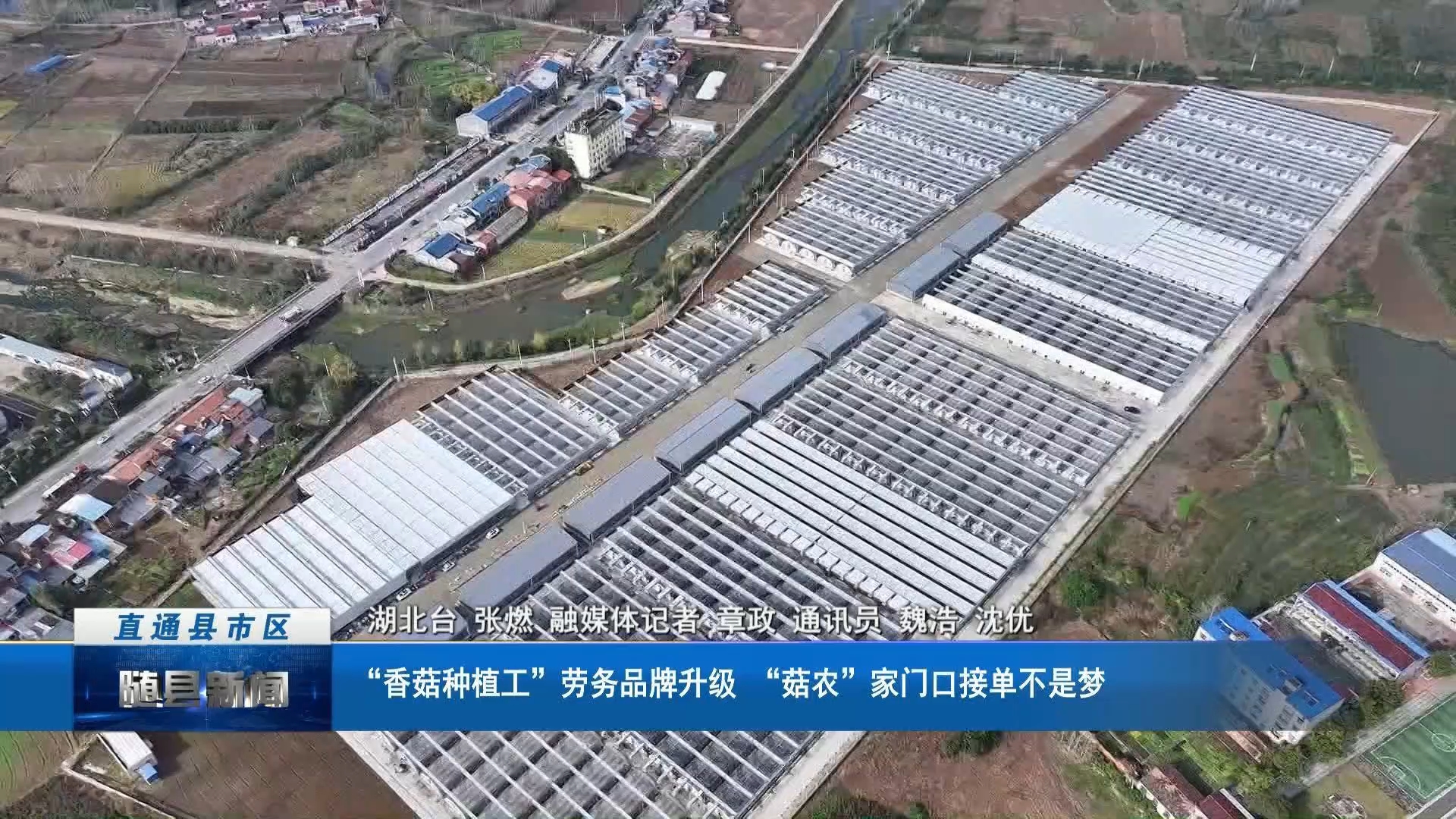 “香菇种植工”劳务品牌升级 “菇农”家门口接单不是梦