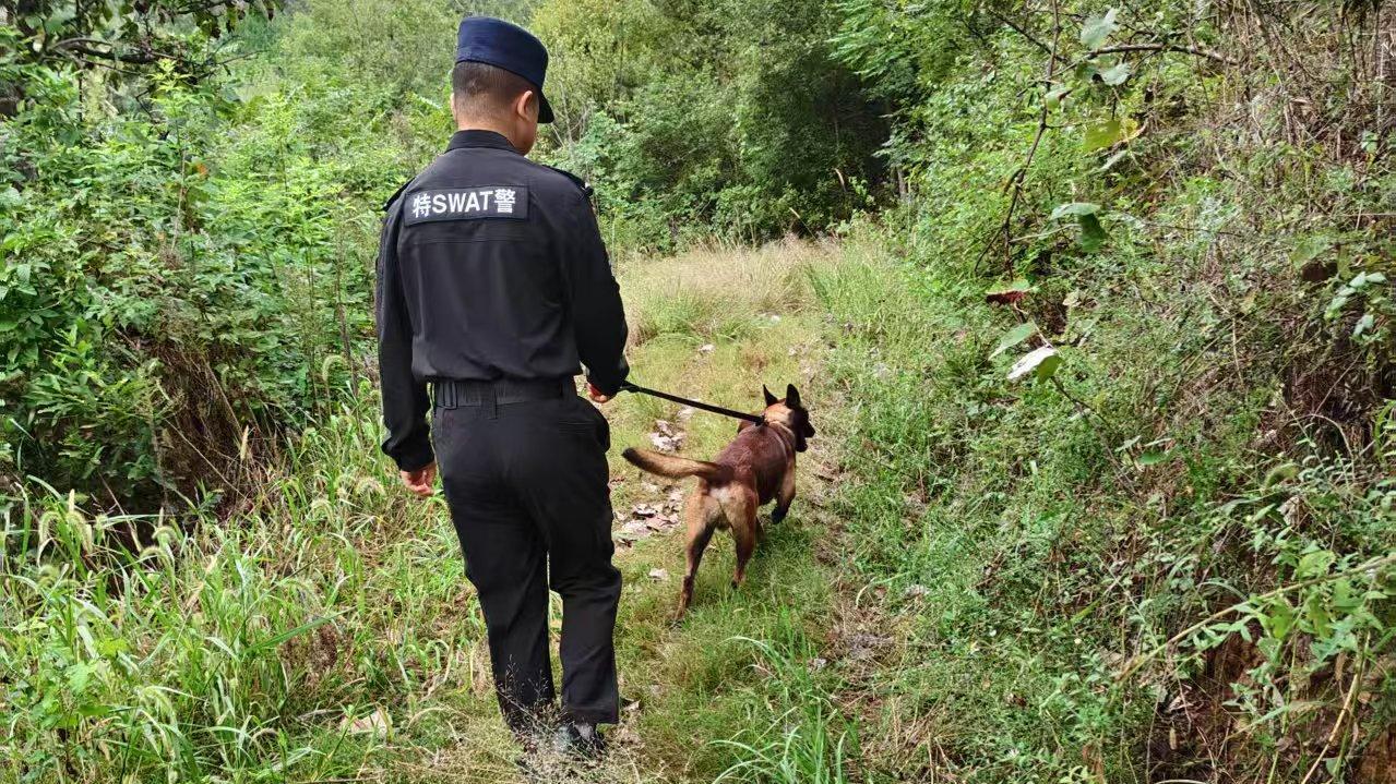 随州警犬快速找回走失失智人员