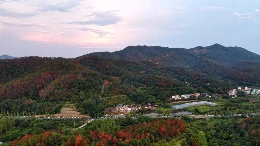 独臂踏征途忠魂耀澴川(报纸稿).docx
