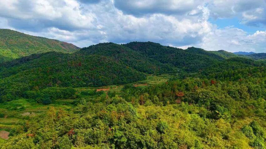孝昌：从万里长征路到乡村振兴路