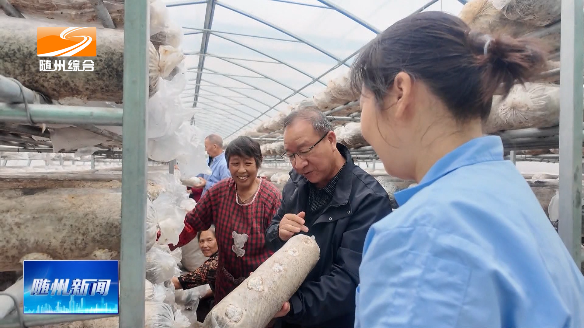 持证上岗“香菇种植工”劳务品牌提质升级