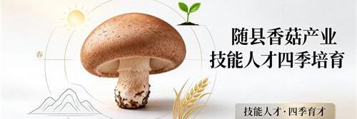 【湖北日报客户端】一朵香菇的四季：随县把人才种进了春天