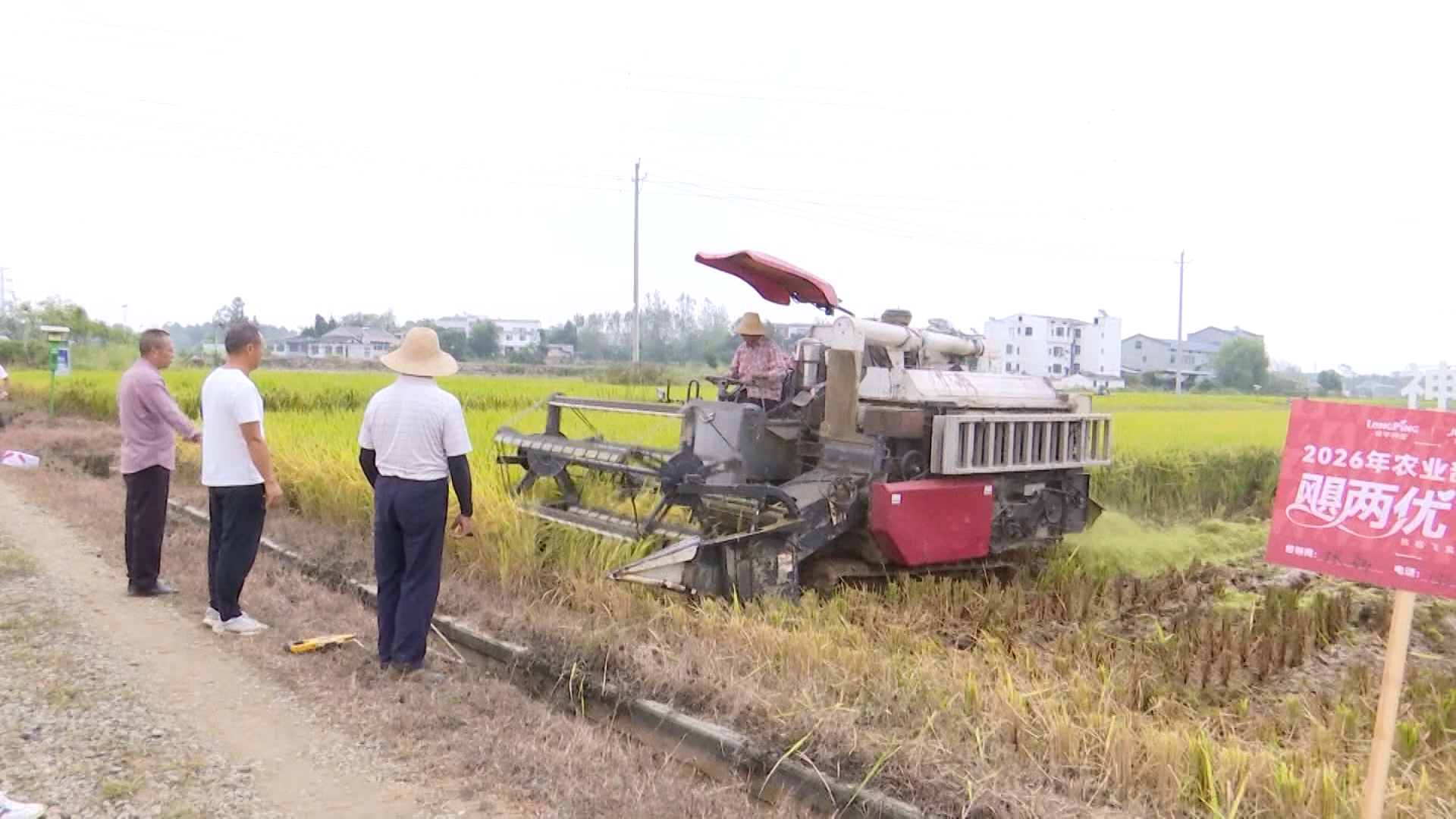 曾都区：示范引领科技赋能 水稻单产见成效