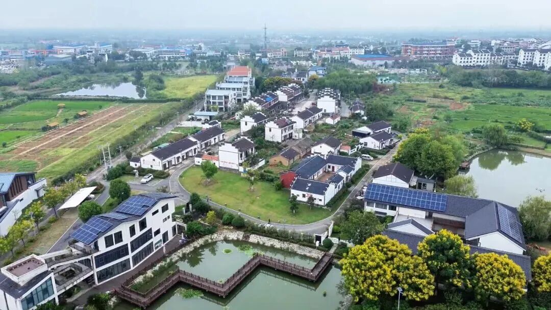 从负债百万到年入百万，武汉这个村，把都市田园综合体玩明白了