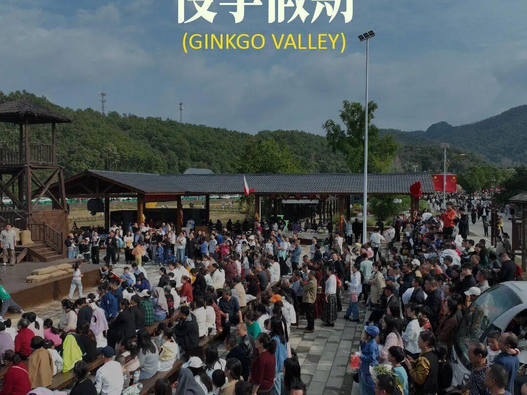 金秋山野慢享假期 银杏谷国庆文旅持续升温